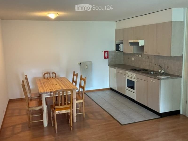 Charmant 2,5 pièces meublé avec balcon et garage (4)