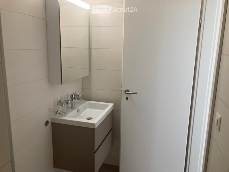 Appartement à louer 2 pièces et demi (5)
