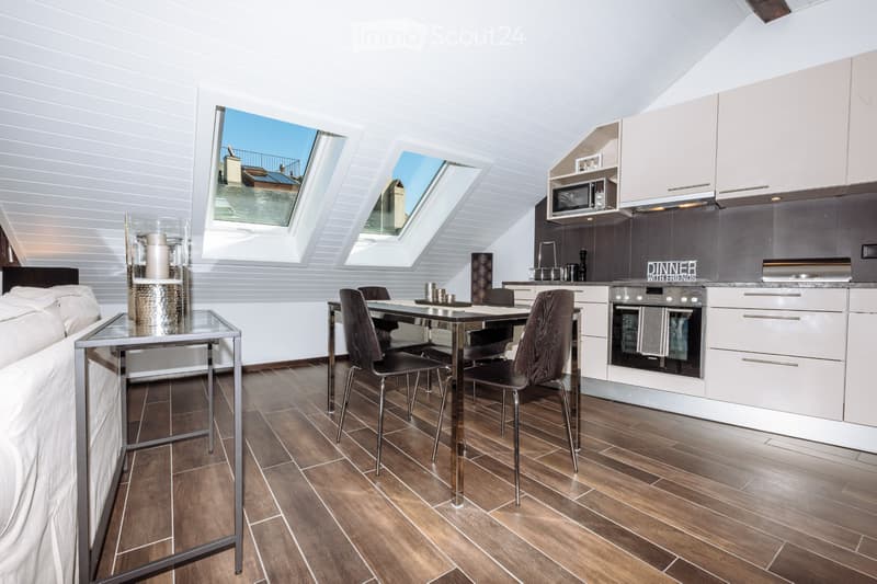 NYON Centre - Magnifique 2.5p // Superb 1-bedroomed flat (3)