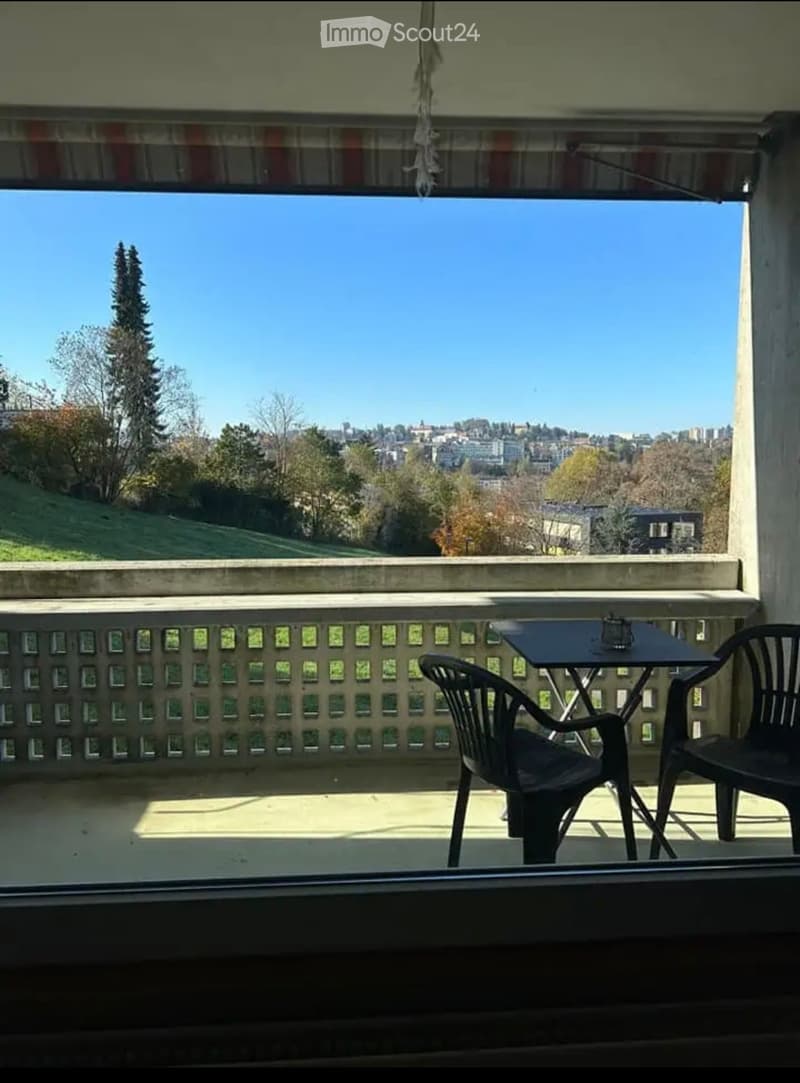 Appartement 1.5 pièces à Fribourg (1)