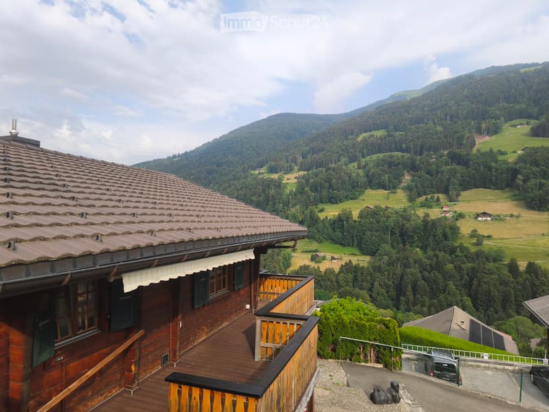 Appartement magnifique face aux montagnes (1)