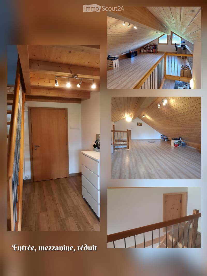 Charmant appartement à louer à Estévenens (1)