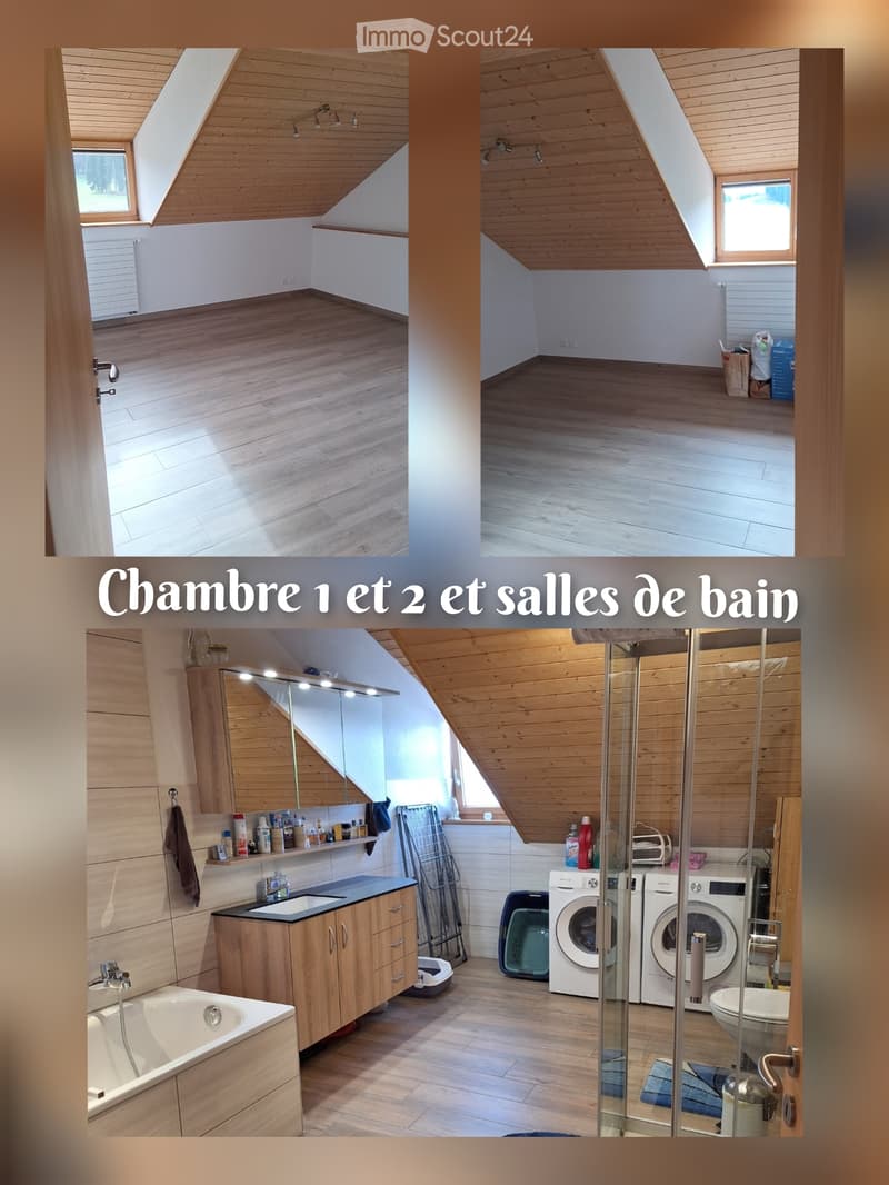 Charmant appartement à louer à Estévenens (2)