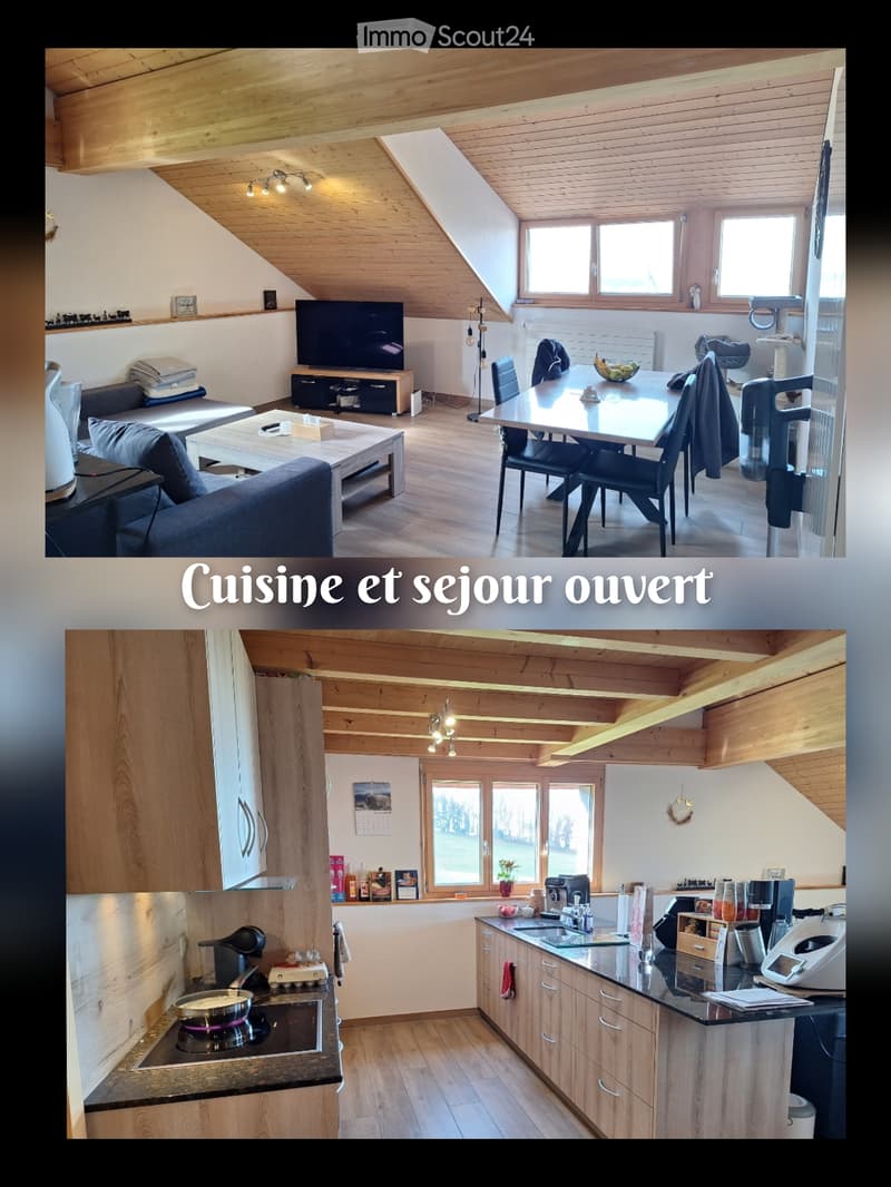 Charmant appartement à louer à Estévenens (3)