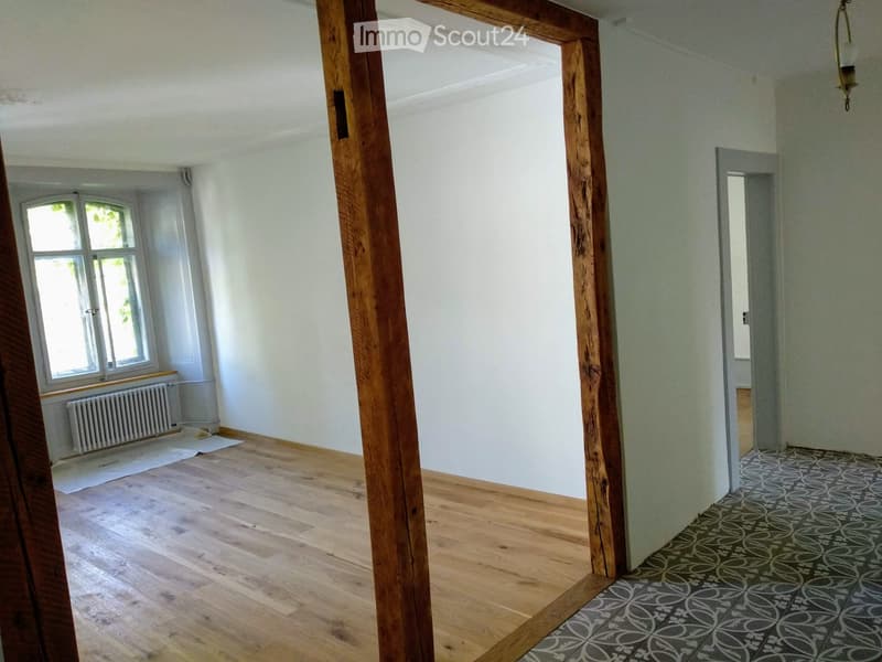 Magnifique appartement plein centre de la Chaux-de-Fonds (5)