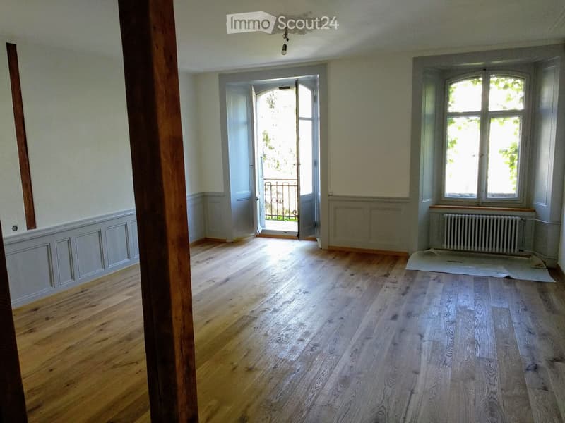 Magnifique appartement plein centre de la Chaux-de-Fonds (2)