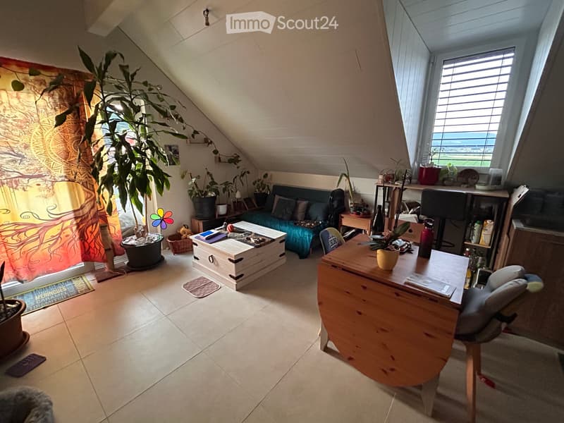 Appartements 3.5 pces avec balcon (1)