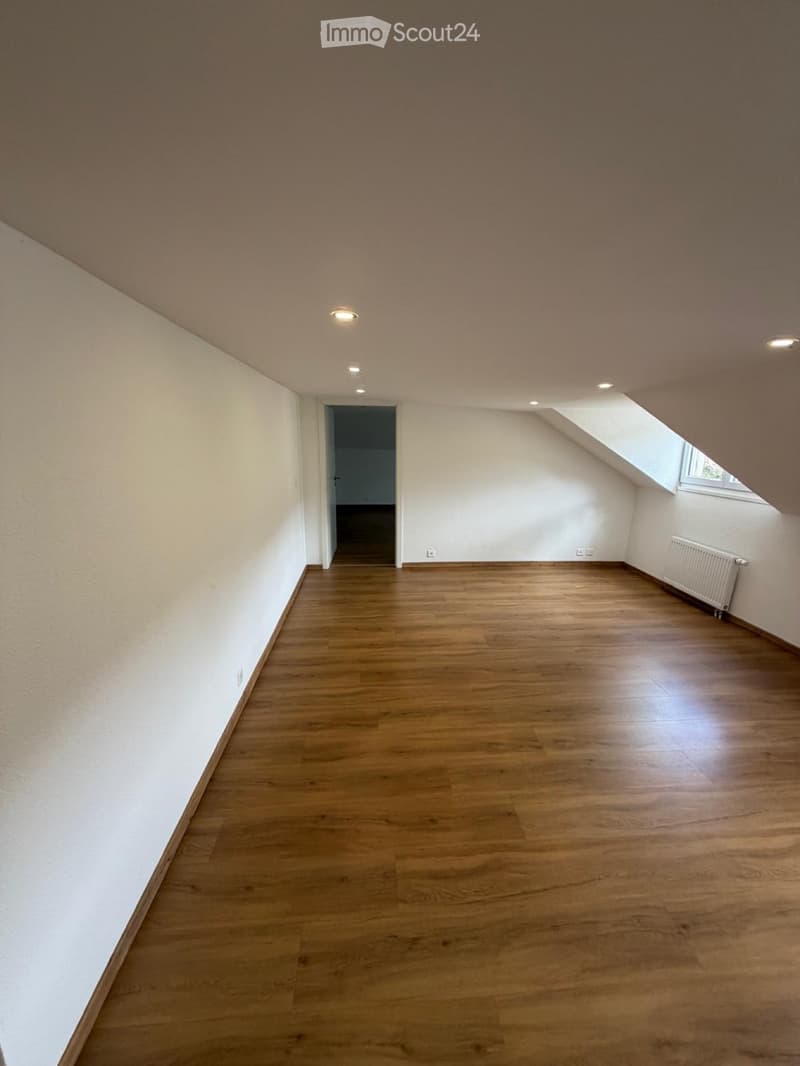 Apartment a louer 4.5 pieces (4)
