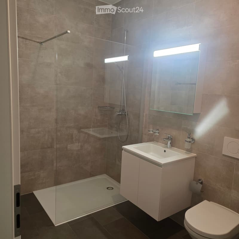 URGENT A LOUER Magnifique appartement (2)