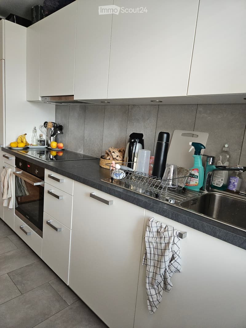 Appartement 3.5 pièces au rez-de-chaussée supérieur (1)