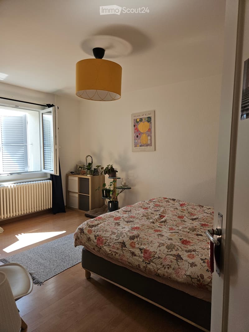 Appartement 3.5 pièces au rez-de-chaussée supérieur (5)