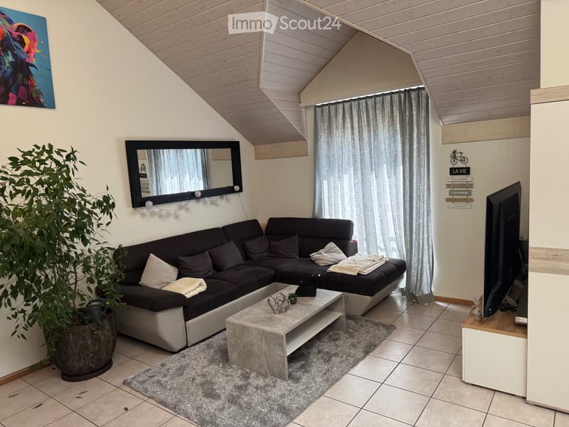Grand appartement avec mezzanine (2)