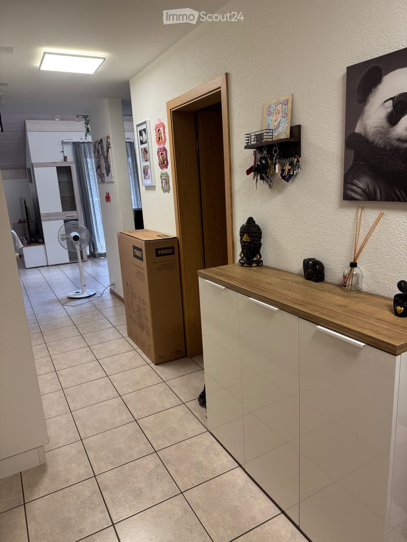 Grand appartement avec mezzanine (3)