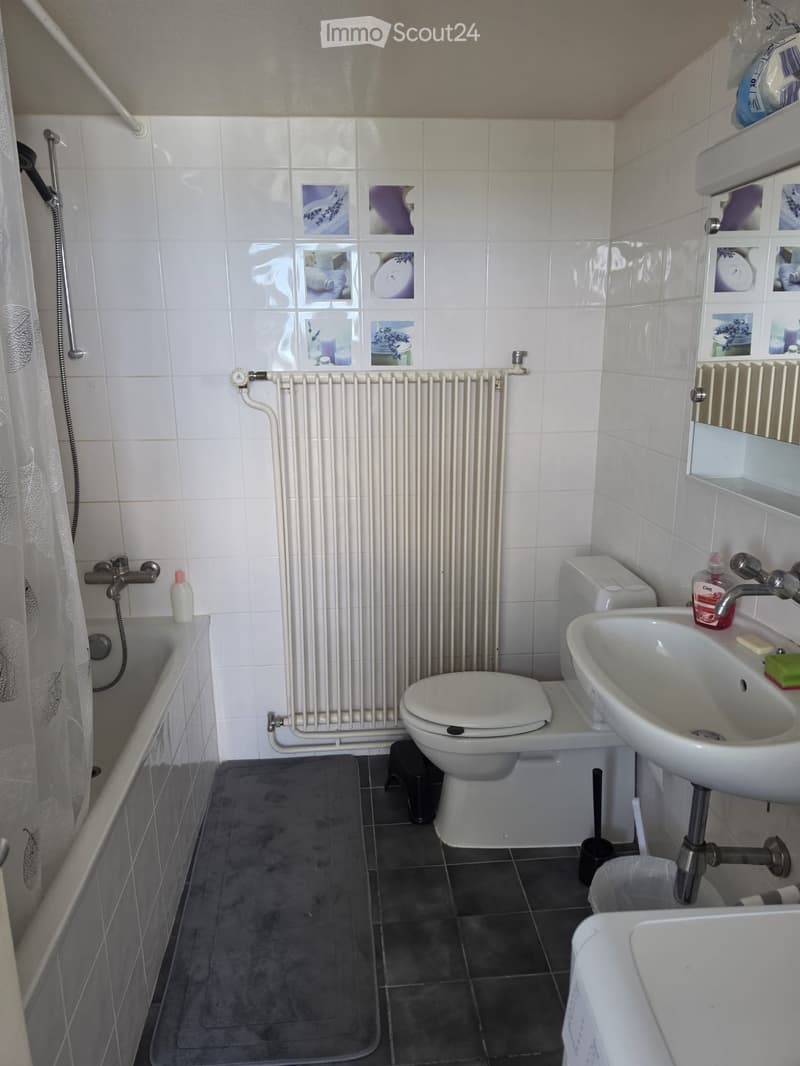Appartement meublé à sous-louer Le Lignon, Genève (2)