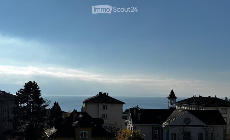 SHORT TERM RENTAL FLAT IN LAUSANNE - 2-3 months (3)