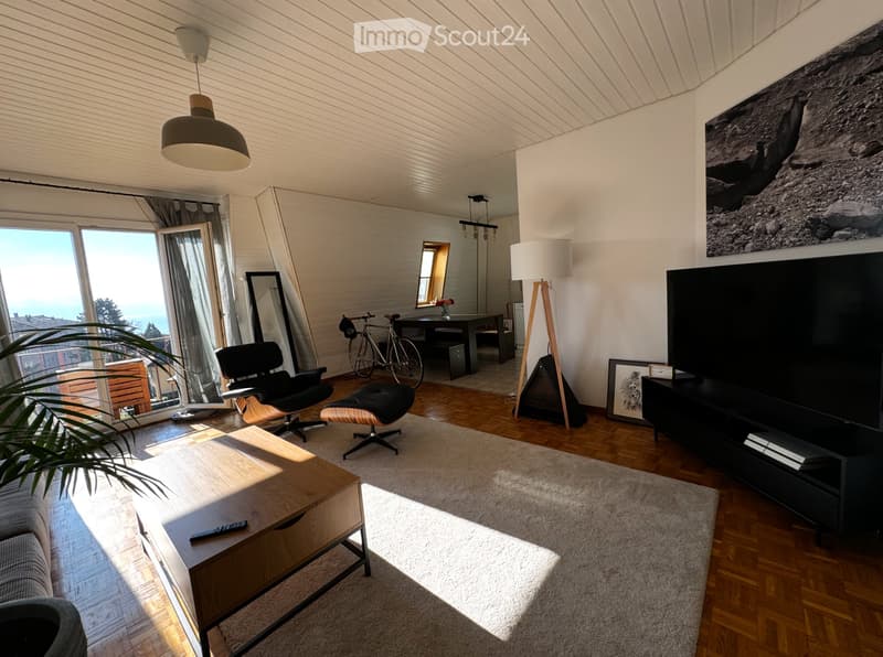SHORT TERM RENTAL FLAT IN LAUSANNE - 2-3 months (1)