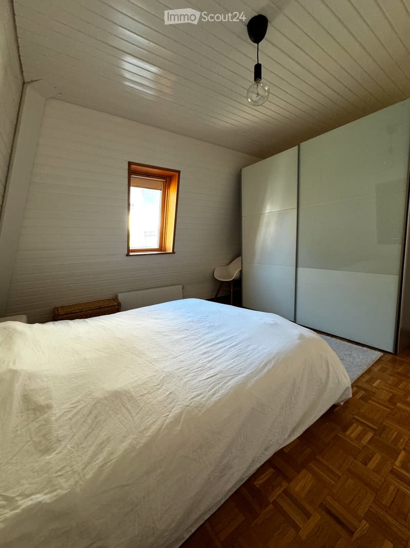SHORT TERM RENTAL FLAT IN LAUSANNE - 2-3 months (5)