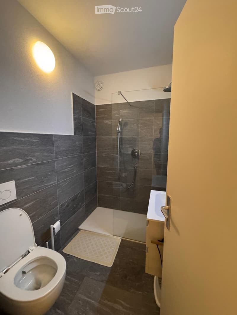 Charmant appartement de 2.5 pièces à Olten. (2)