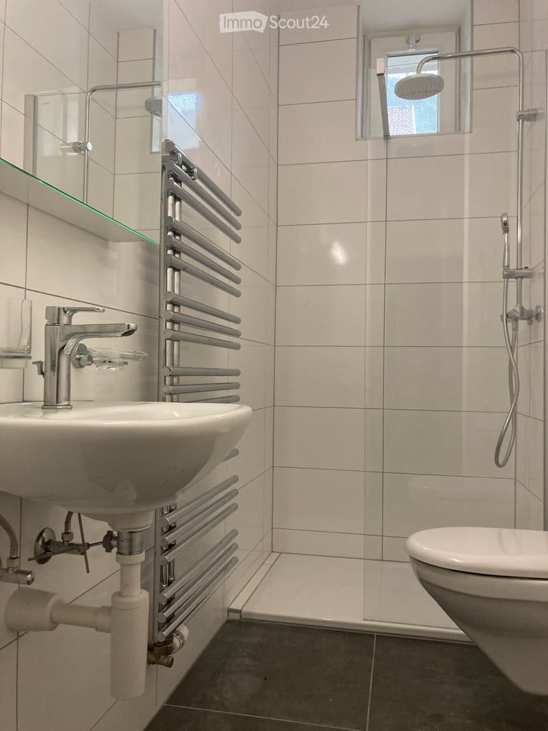 Bel et lumineux appartement traversant (1)