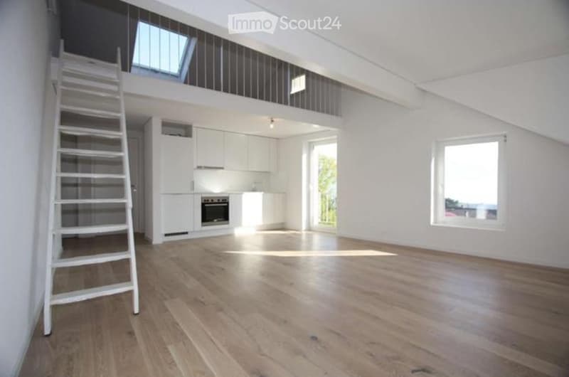 Appartement 2.5 pièces lumineux avec vue (1)