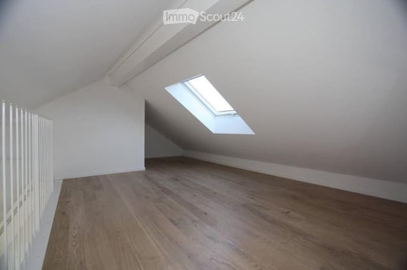 Appartement 2.5 pièces lumineux avec vue (3)