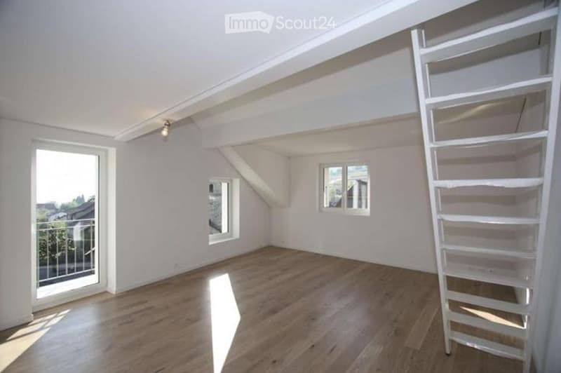 Appartement 2.5 pièces lumineux avec vue (2)
