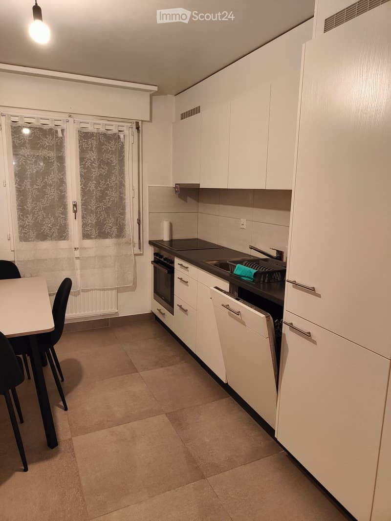 Appartement 3.5 pces meublé (3)