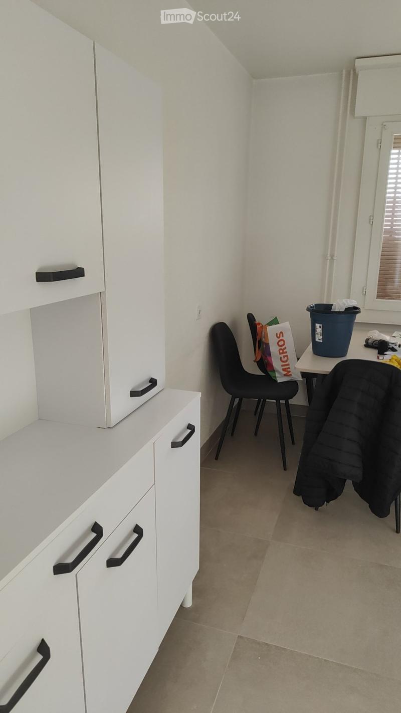 Appartement 3.5 pces meublé (4)