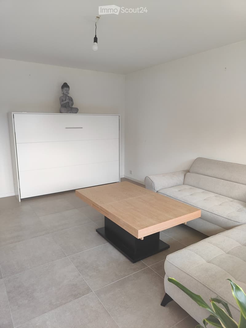 Appartement 3.5 pces meublé (5)