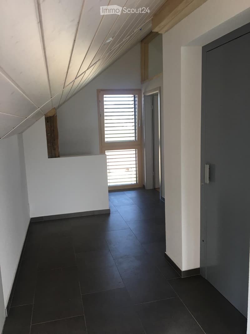 Châtillens, appartement d'exception (4)