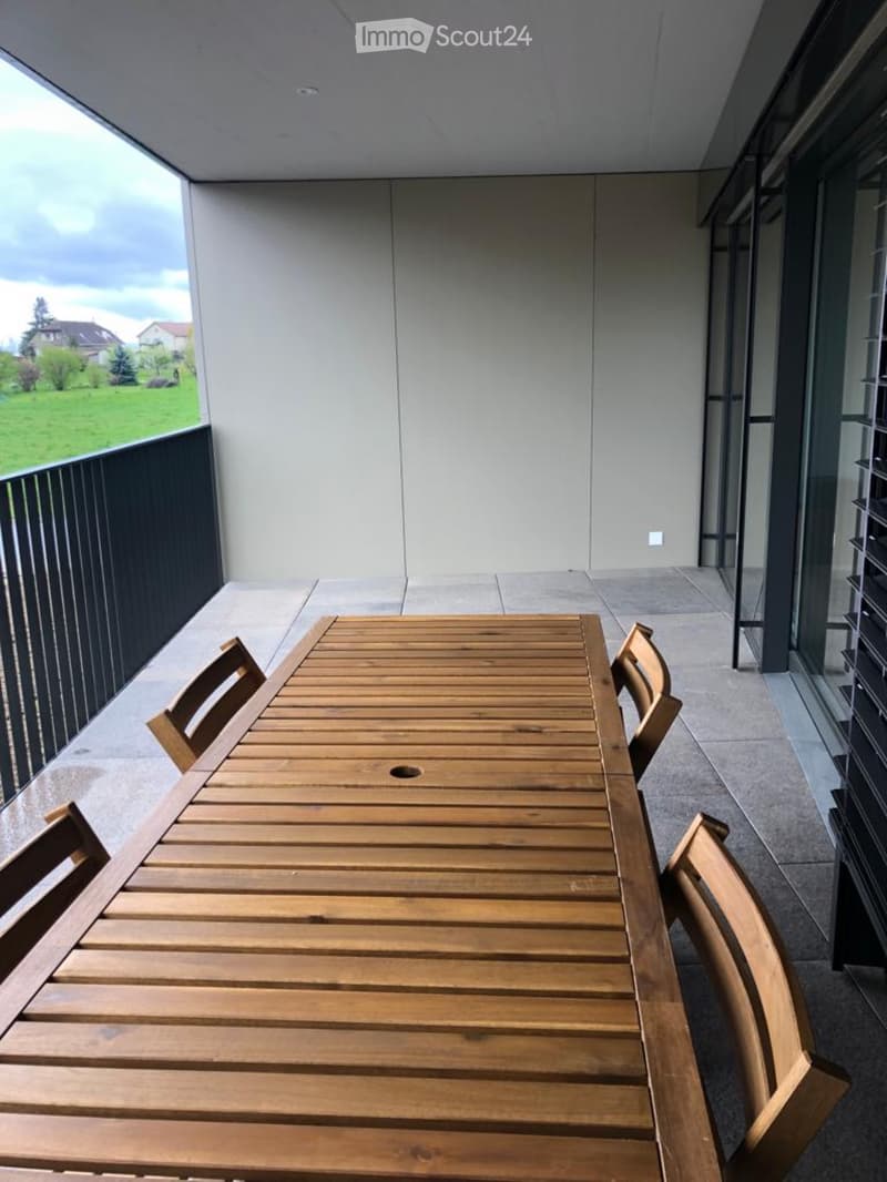 Charmant 2.5 pièces meublées avec grande terrasse de 20 m² (2)