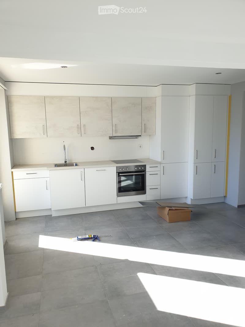 Apparemment 3.5 pièces (1)