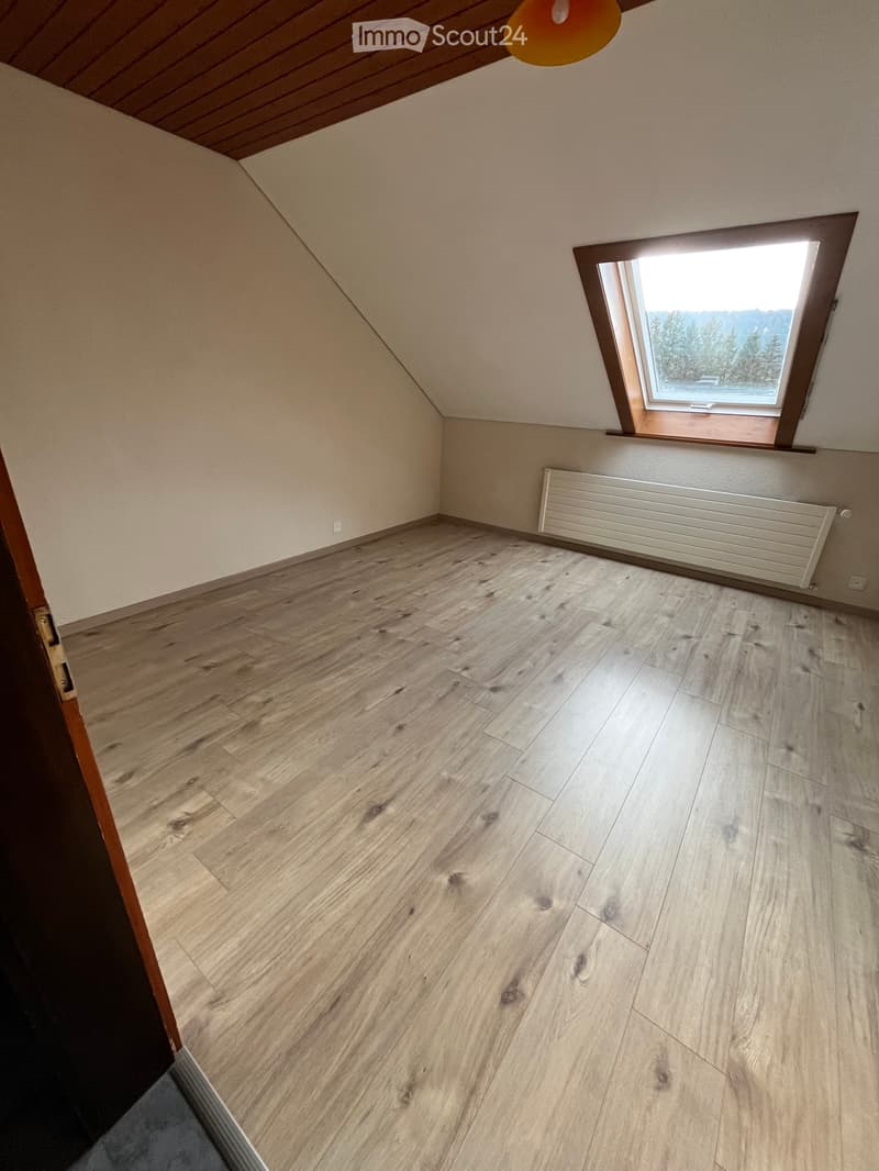 Bel appartement rénové (5)
