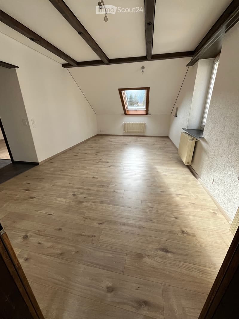 Bel appartement rénové (4)