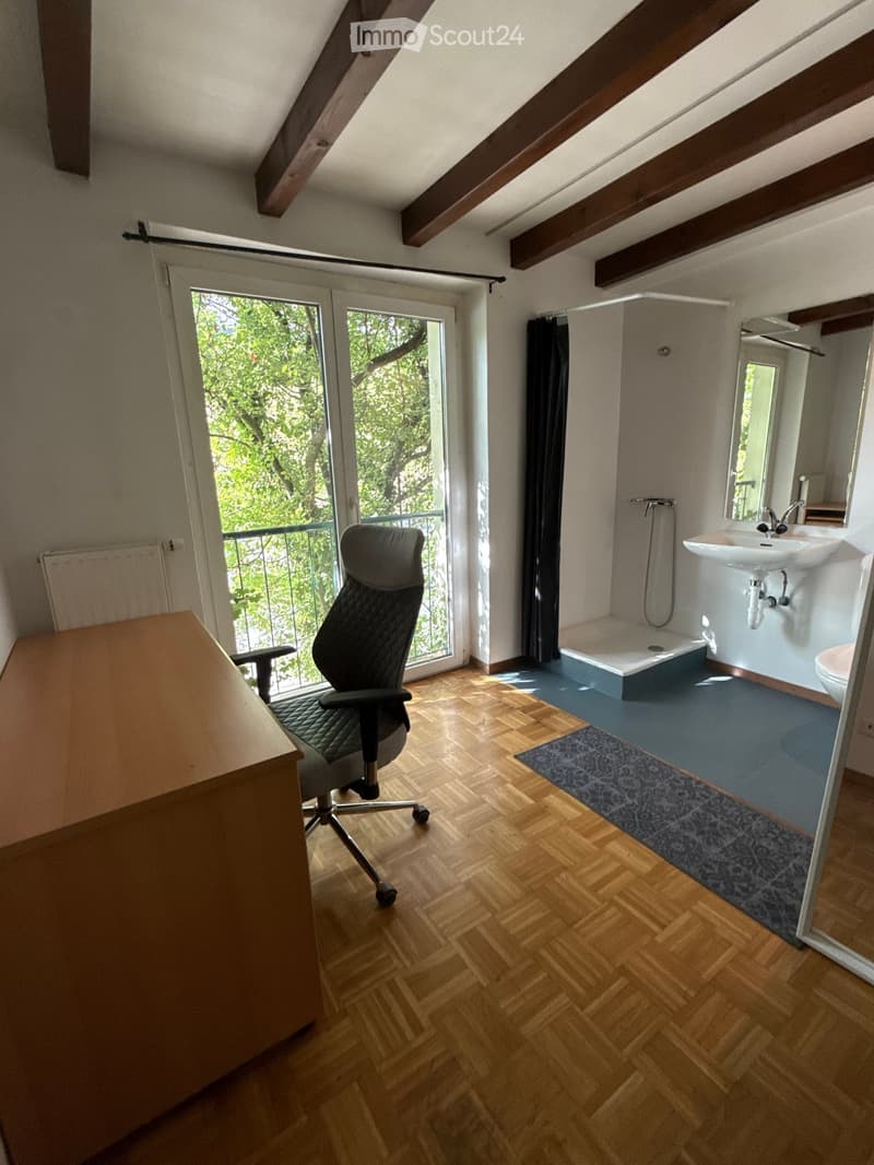Colocation spacieuse avec terrasse et vue dégagée sur le lac (2)