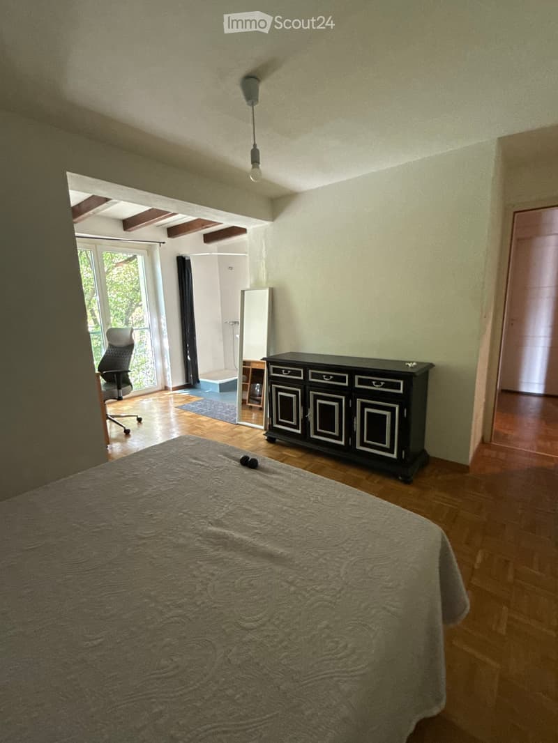 Colocation spacieuse avec terrasse et vue dégagée sur le lac (3)
