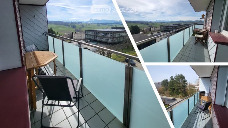 Appartement 3.5pcs dernier étage lumineux calme près gare (2)