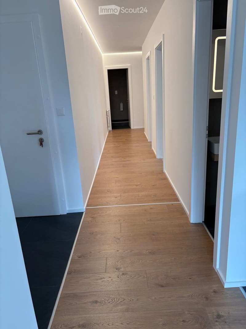 appartement 4,5 entiérement rènovè 1ere loc(place de park) (2)
