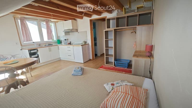 Studio avec mezzanine en coopérative écologique (1)