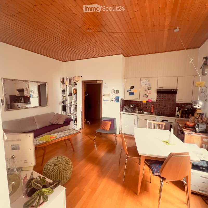 Appartement à louer sous gare, Lausanne (3)