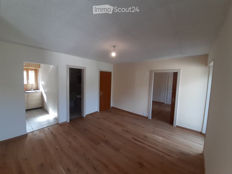 appartement 2.5 pièce à louer à Vex (2)