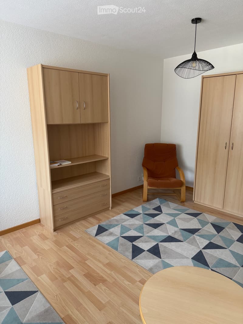 Super studio meublé à Sierre (3)