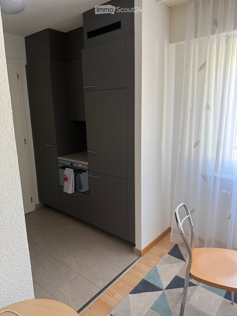 Super studio meublé à Sierre (5)