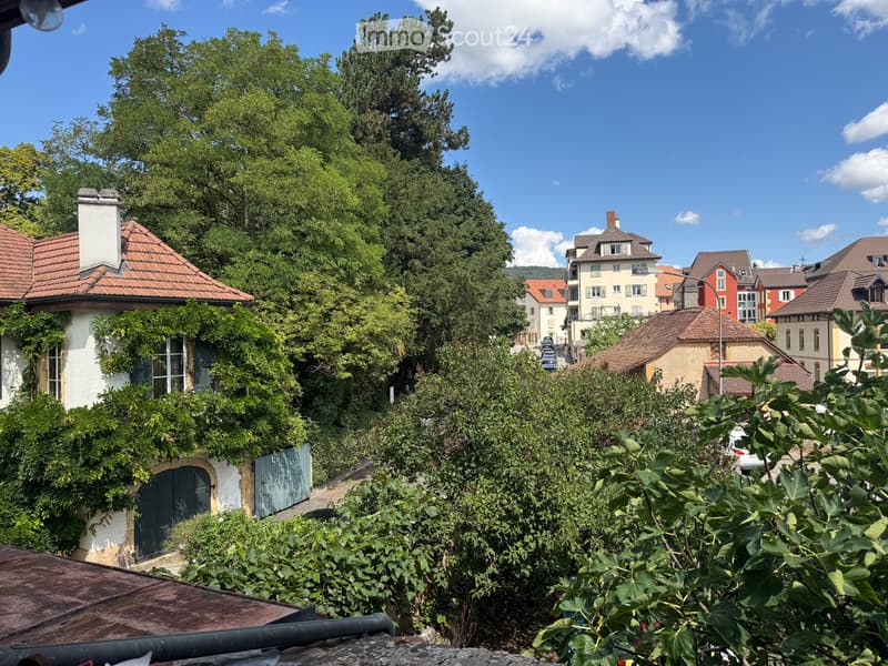 Magnifique 4,5 pièces rénové avec jardin & terrasse (5)