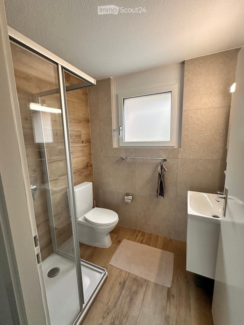 Bel appartement 4.5 pièces à louer (5)