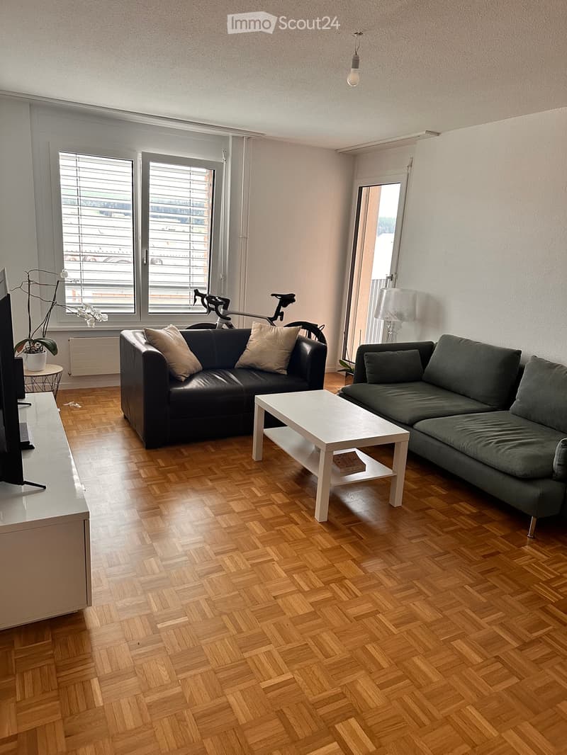 Bel appartement 4.5 pièces à louer (2)