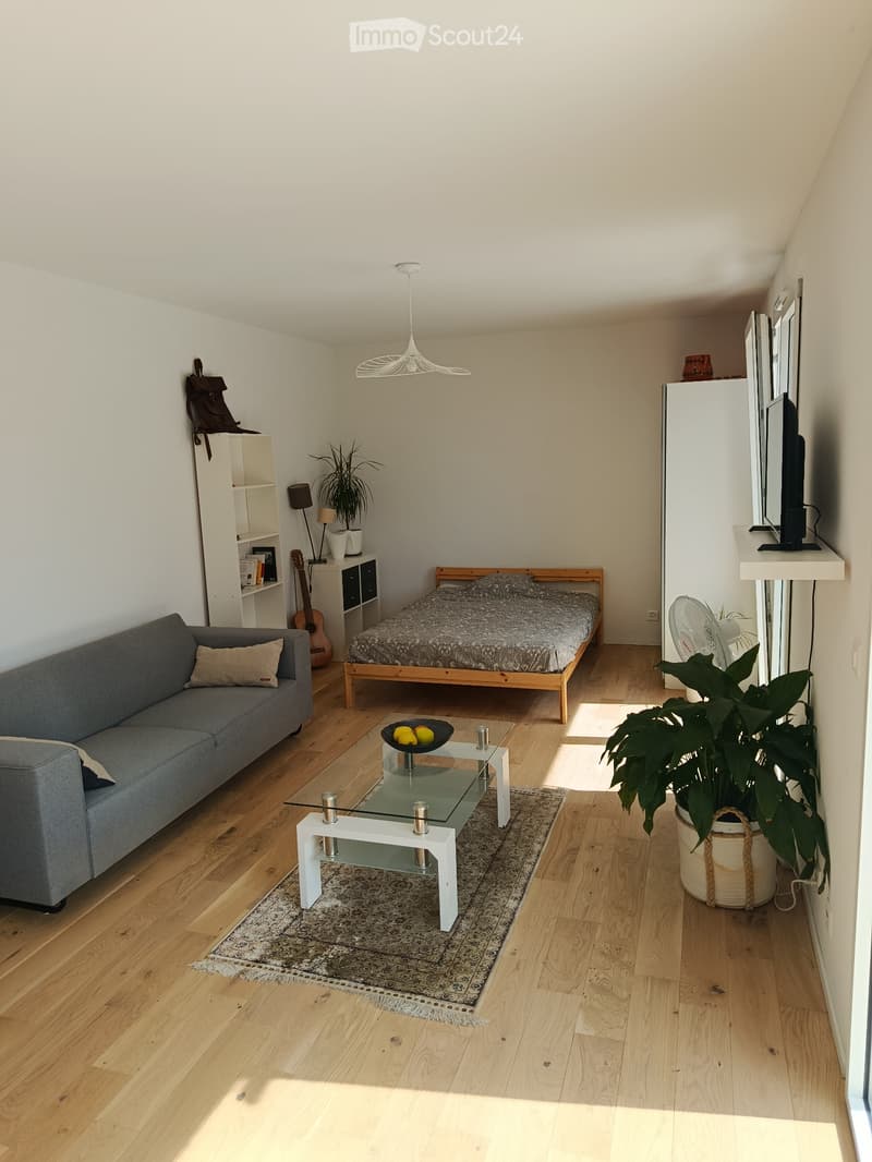 Studio à louer (3)
