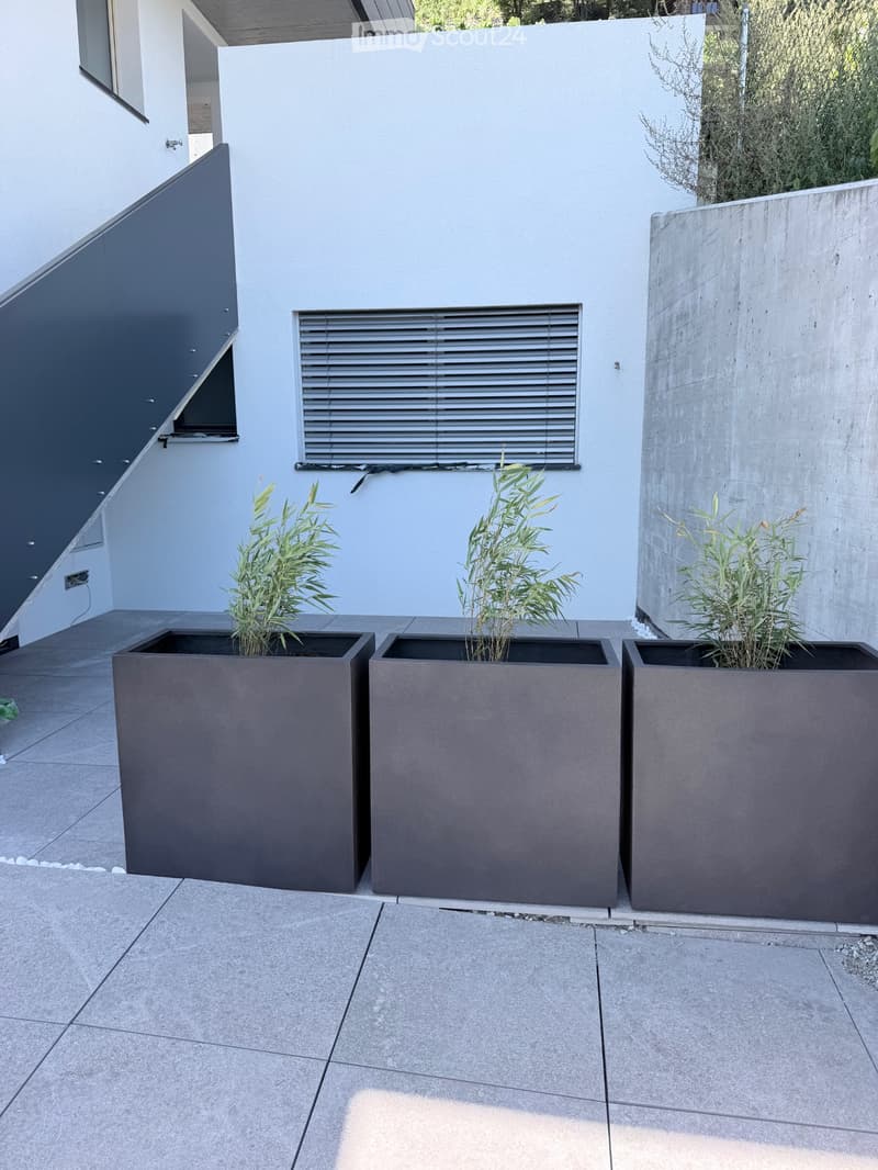 Location 2,5 pièces (5)