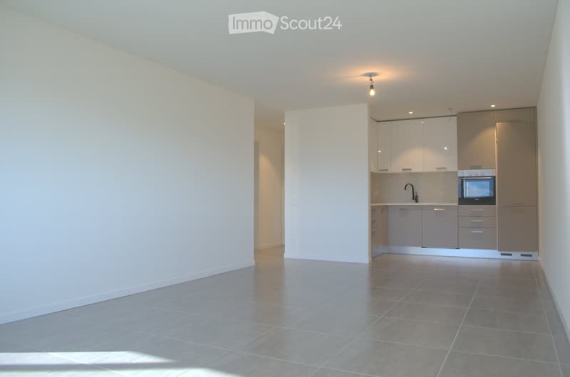 Lumino luminoso, appt. 2 .5 incl. parking+conguagl. affare!! (1)