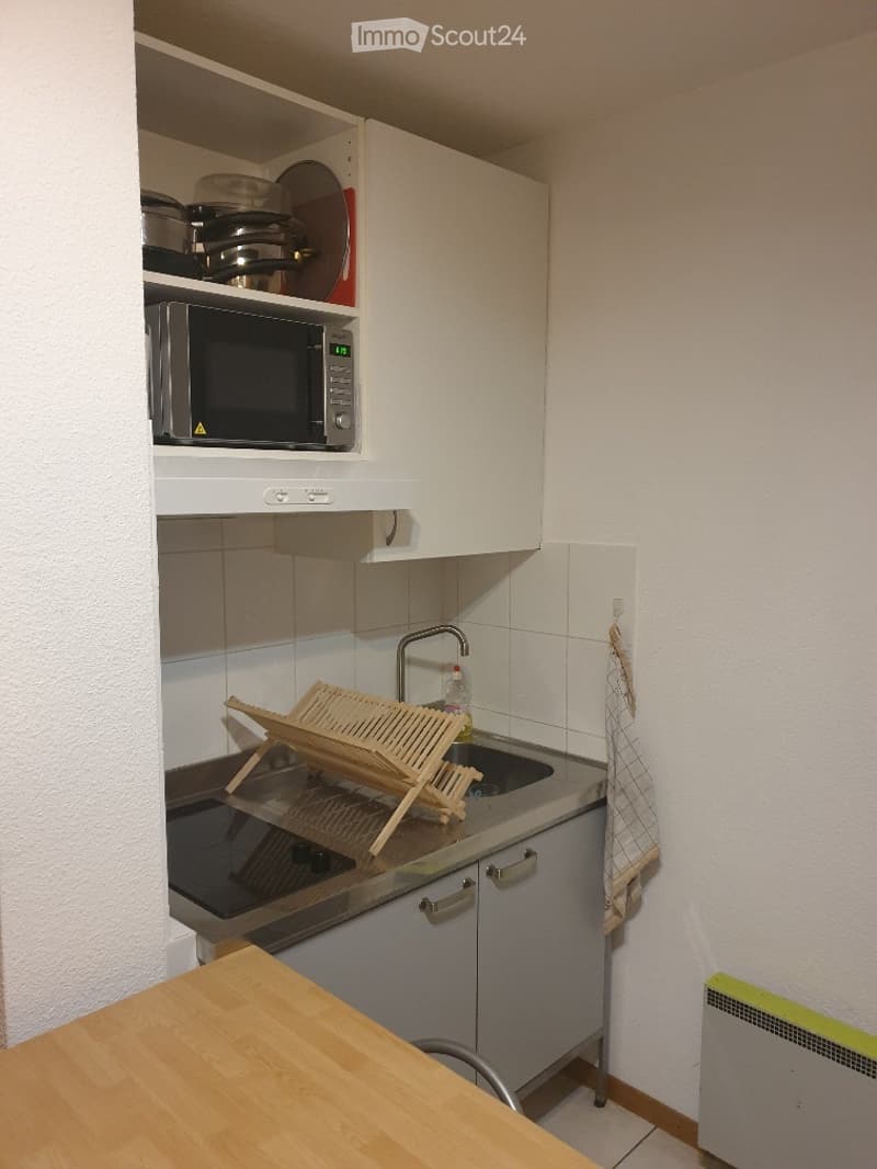 Petit appart. 1p meublé, pied-à-terre du lundi au vendredi (4)